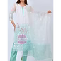 Pakistani Suit with Fancy Embroidery